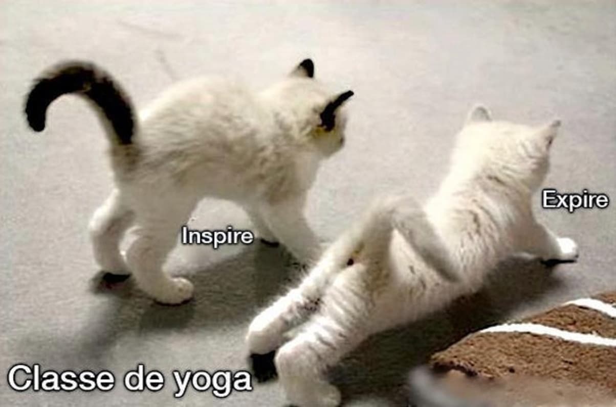 Classe de yoga