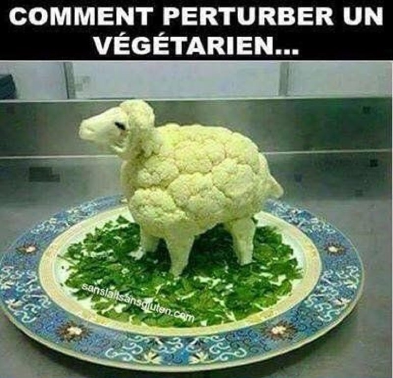 Comment perturber un végétarien