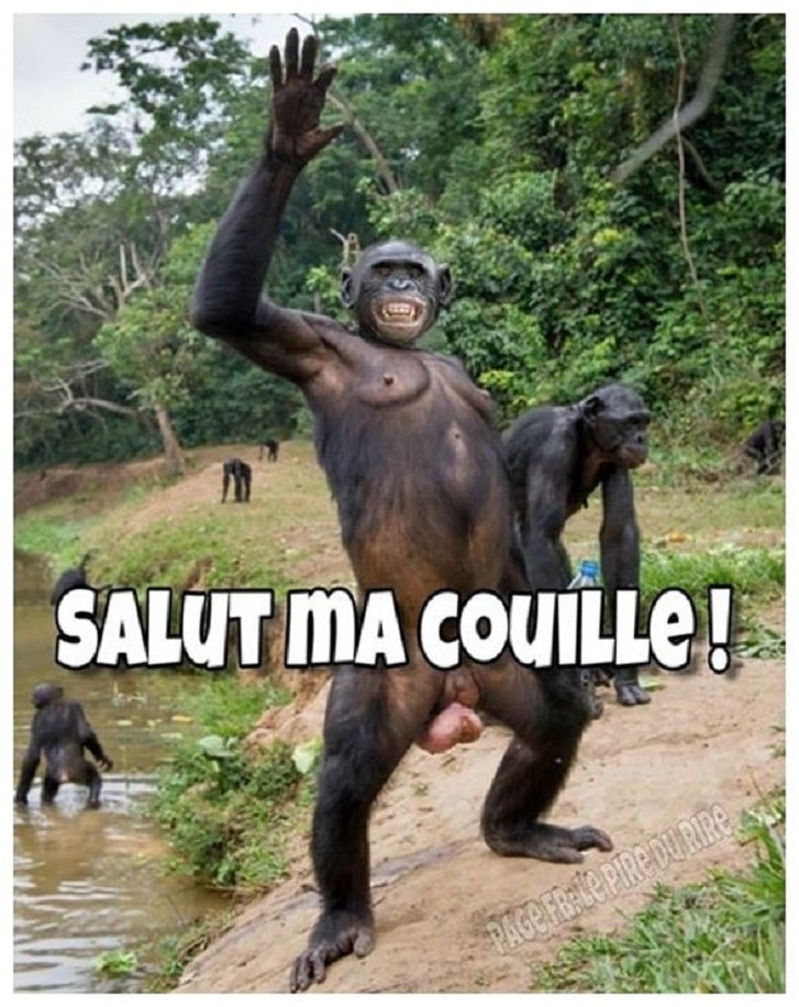 Salut ma couille !