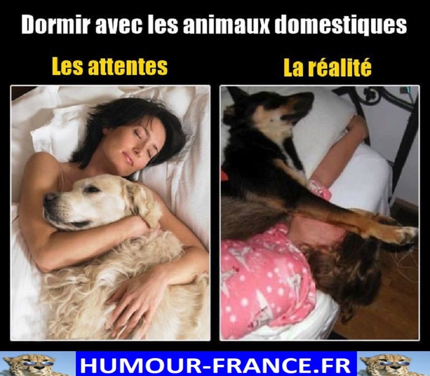 Dormir Archives Humour France Fr